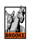 Brooke Hospital for Animals